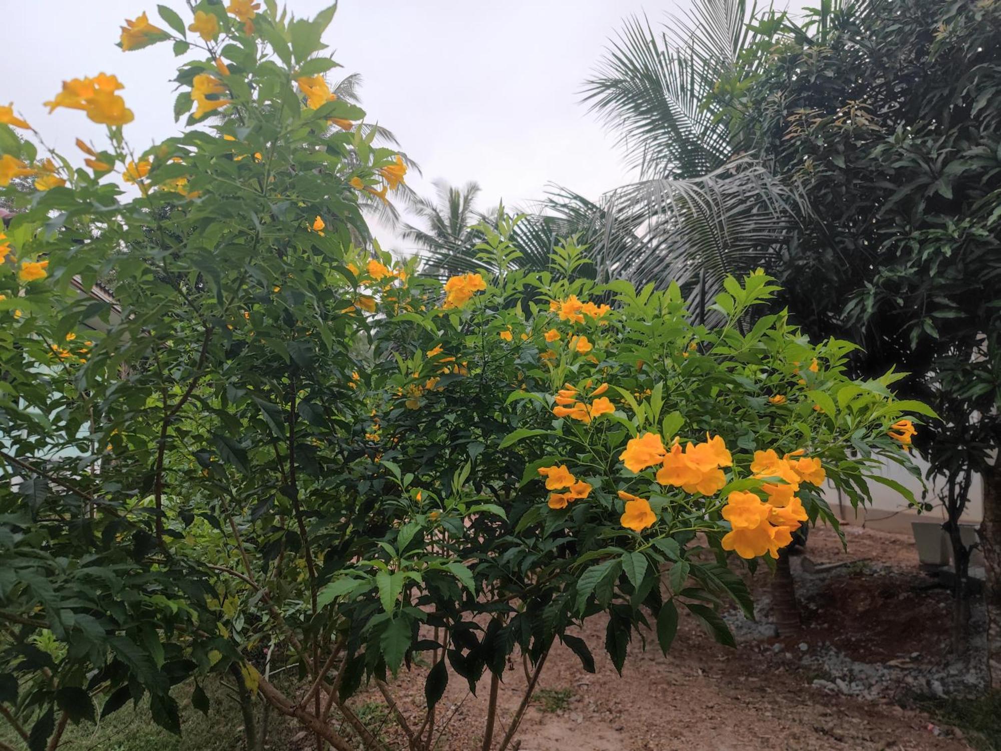 The Secret Garden Homestay Koh Yao Yai เกาะยาวใหญ่ ภายนอก รูปภาพ