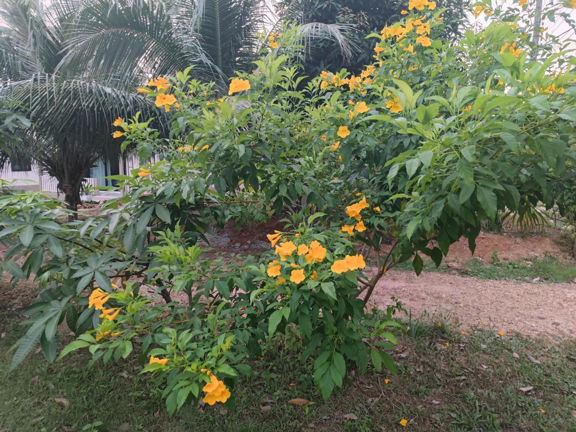 The Secret Garden Homestay Koh Yao Yai เกาะยาวใหญ่ ภายนอก รูปภาพ