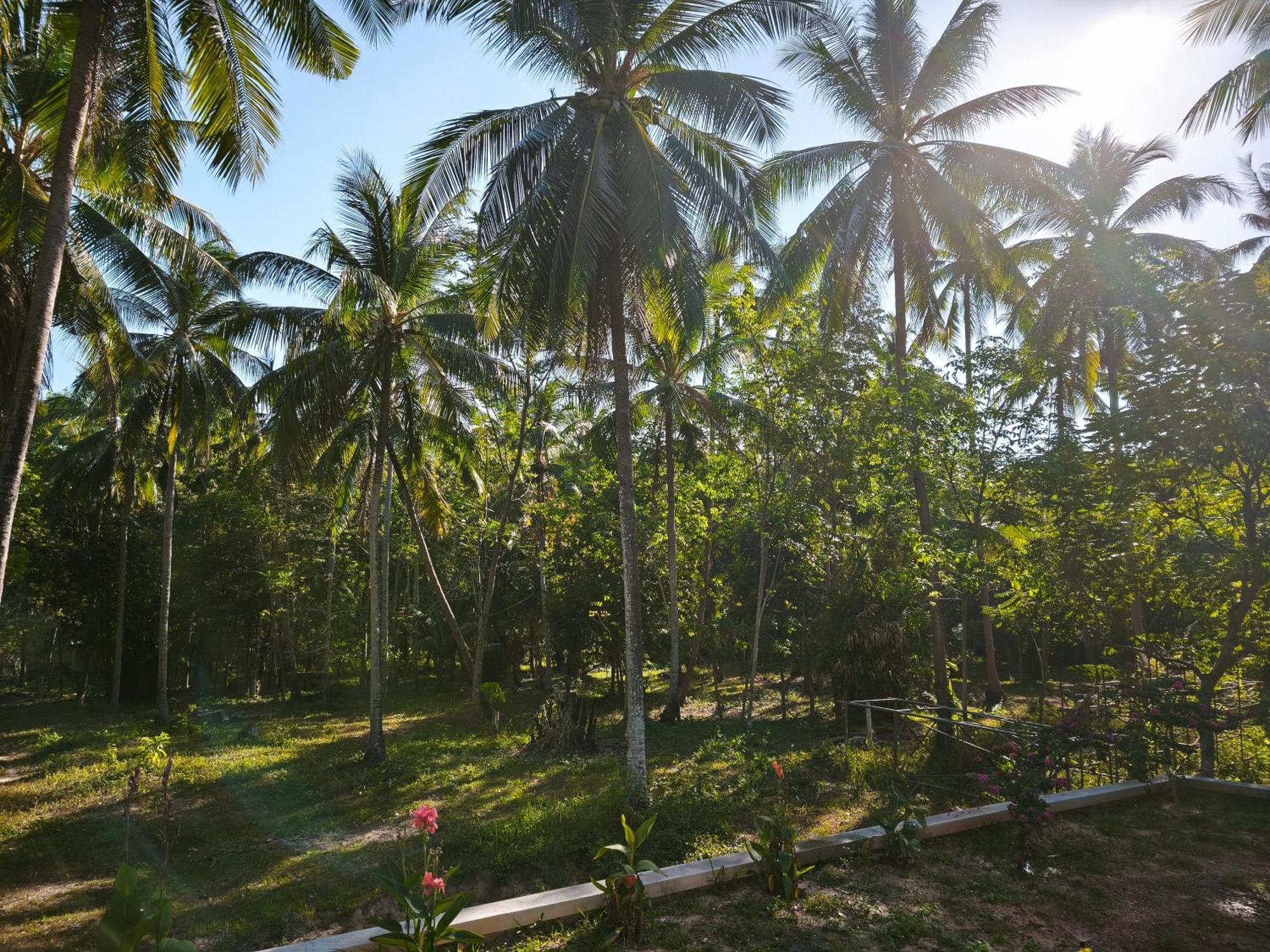 The Secret Garden Homestay Koh Yao Yai เกาะยาวใหญ่ ภายนอก รูปภาพ