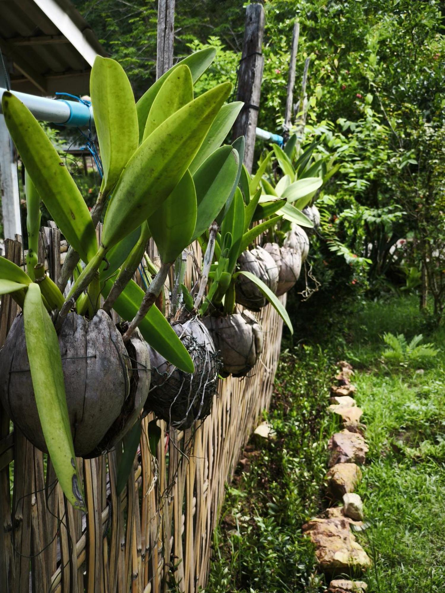 The Secret Garden Homestay Koh Yao Yai เกาะยาวใหญ่ ภายนอก รูปภาพ